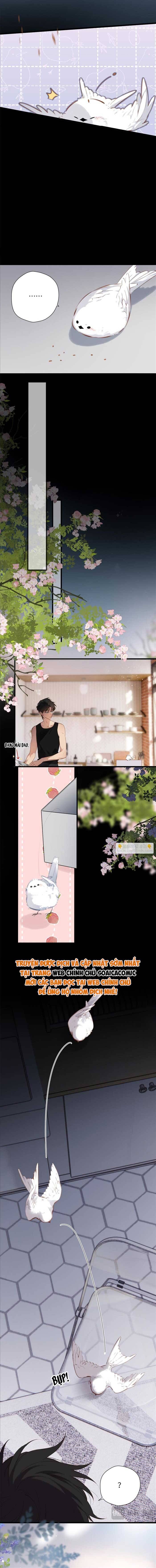 Tố Hồi Xuân Thời Chương 32 Ảnh 8