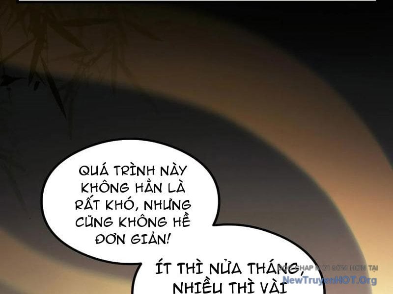 Hoá Ra Ta Đã Vô Địch Từ Lâu Chương 317 Ảnh 30