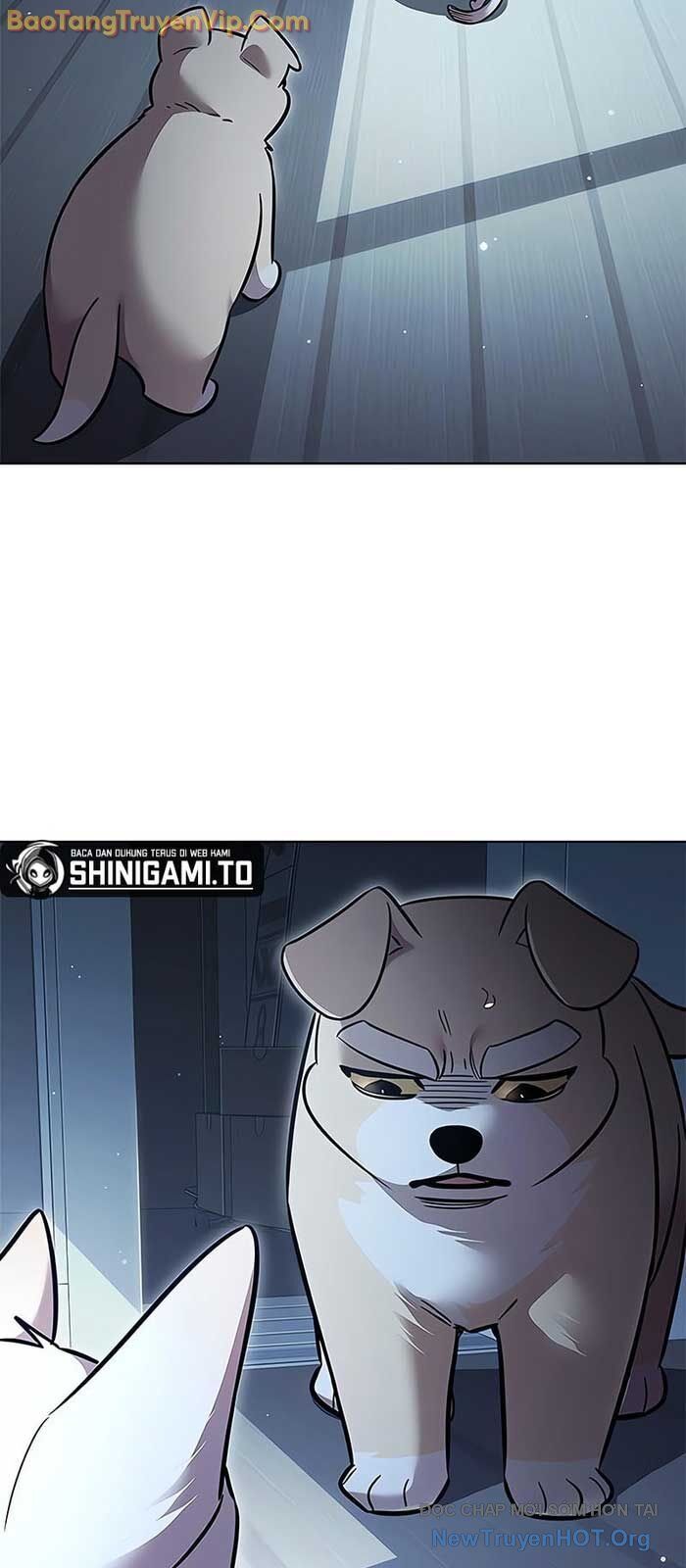 Biến Thân Thành Mèo Chương 358 Ảnh 93