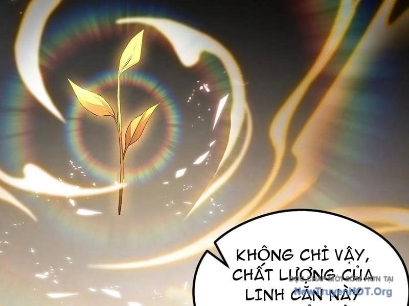 Hoá Ra Ta Đã Vô Địch Từ Lâu Chương 318 Ảnh 77