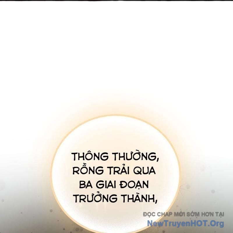 Sự Ra Đời Của Một Anh Hùng Chương 157 Ảnh 141