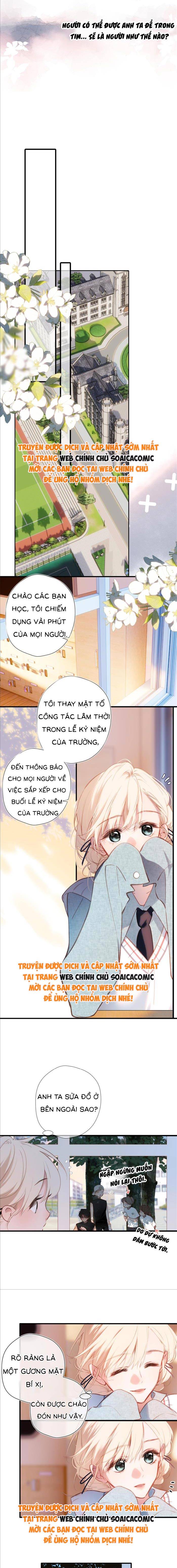 Tố Hồi Xuân Thời Chương 40 Ảnh 6