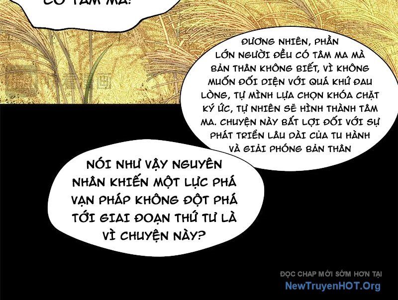 Đỉnh Cấp Khí Vận, Lặng Lẽ Tu Luyện Ngàn Năm Chương 266 Ảnh 13