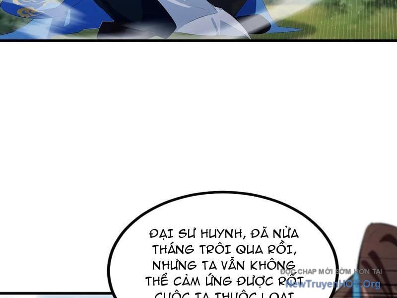 Hoá Ra Ta Đã Vô Địch Từ Lâu Chương 319 Ảnh 50