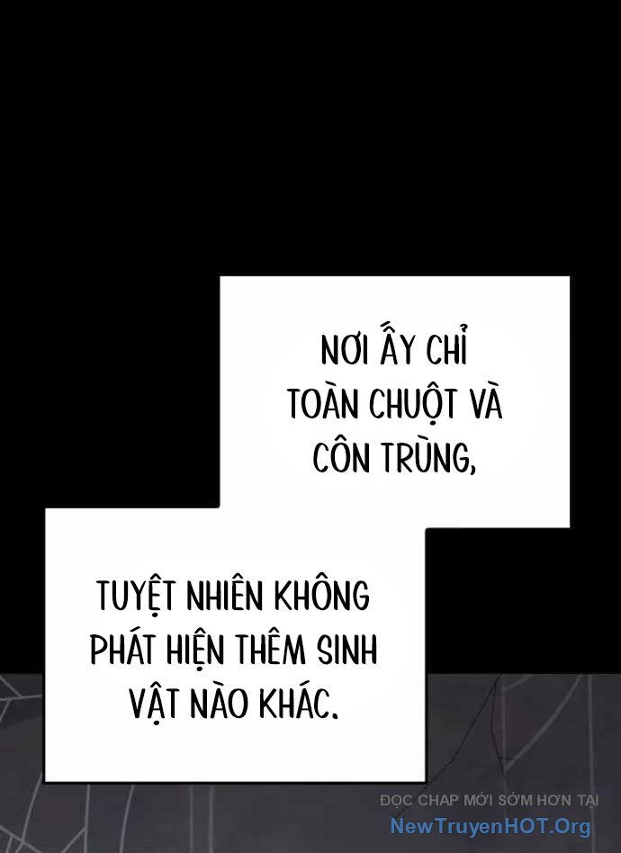 Pháp Sư Thiên Tài Phá Vỡ Giới Hạn Chương 17 Ảnh 15