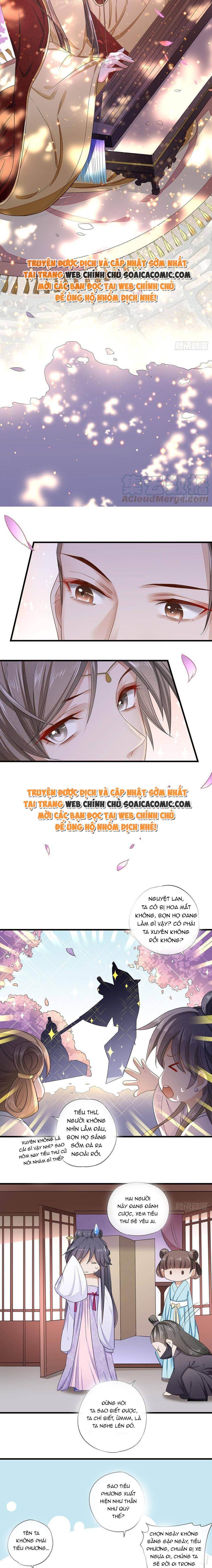 Tra Nam Gặp Tôi Phải Khóc Thét Chương 8 Ảnh 5