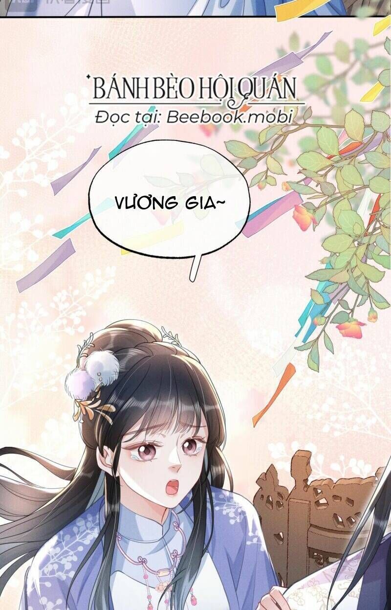 Kế Hoạch Nuôi Dưỡng Bệnh Kiều Vương Gia Chương 17 Ảnh 20