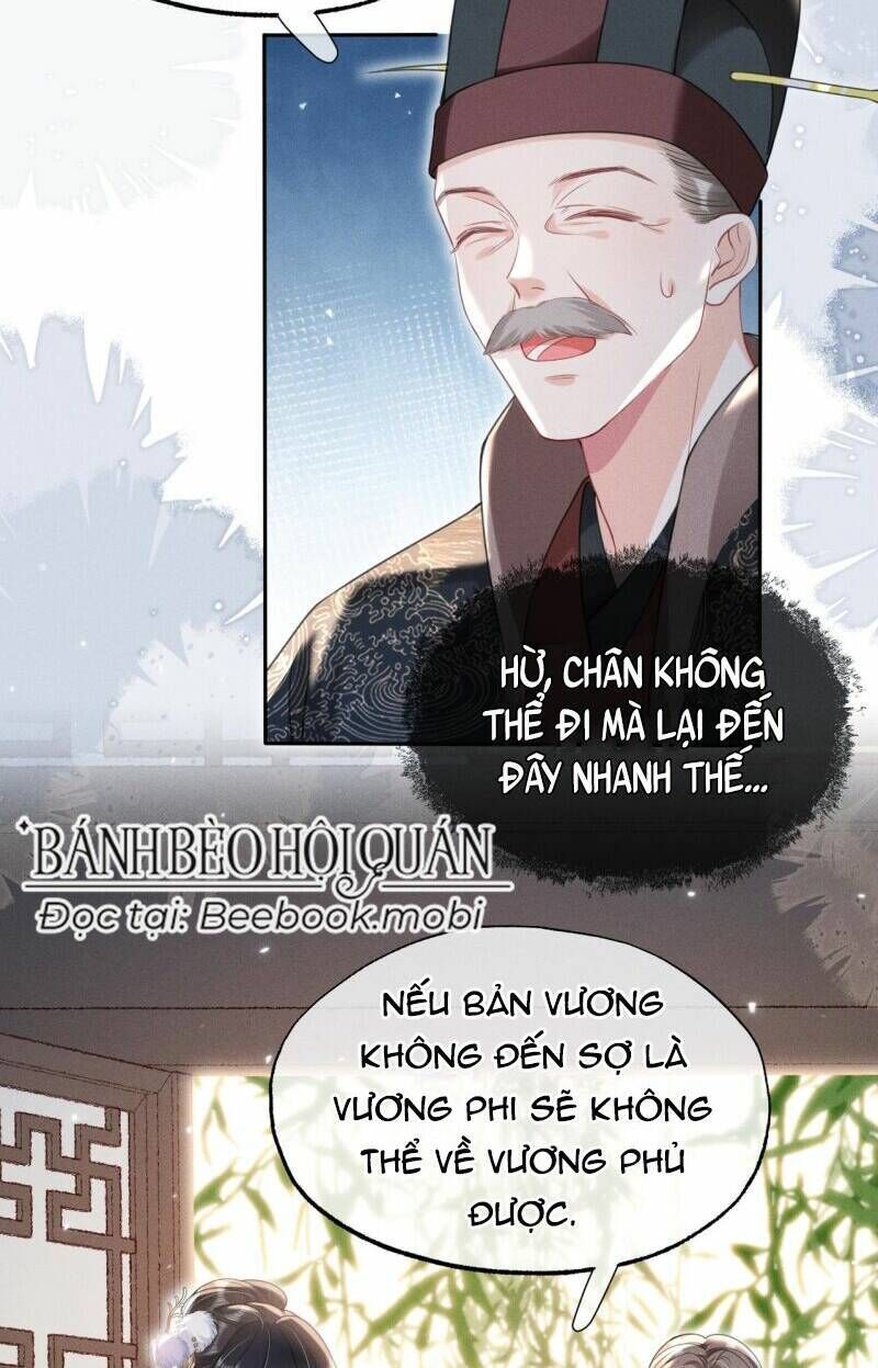 Kế Hoạch Nuôi Dưỡng Bệnh Kiều Vương Gia Chương 17 Ảnh 11