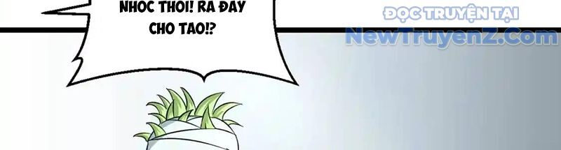 Dẫu Nản Vẫn Cố Chương 3 Ảnh 116