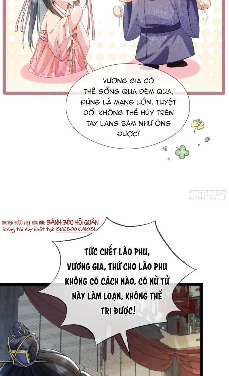 Kế Hoạch Nuôi Dưỡng Bệnh Kiều Vương Gia Chương 5 Ảnh 30
