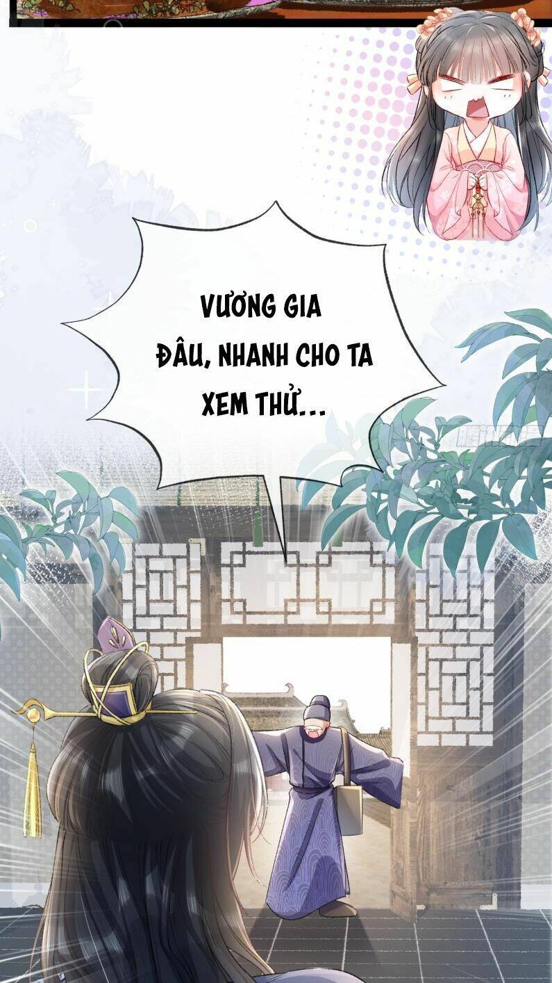 Kế Hoạch Nuôi Dưỡng Bệnh Kiều Vương Gia Chương 5 Ảnh 4