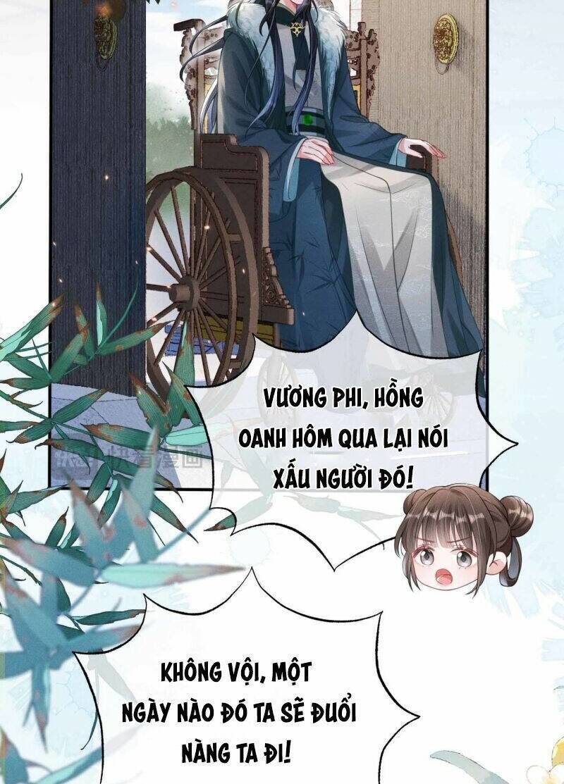 Kế Hoạch Nuôi Dưỡng Bệnh Kiều Vương Gia Chương 20 Ảnh 11