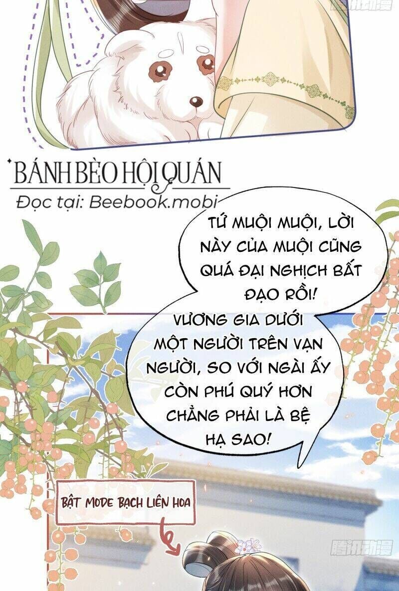 Kế Hoạch Nuôi Dưỡng Bệnh Kiều Vương Gia Chương 15 Ảnh 22