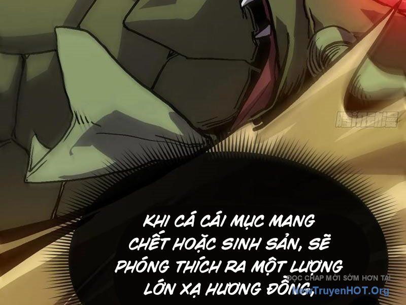 Dị Biến Giáng Lâm Nhân Gian: Triệu Hoán Chi Chủ! Chương 22 Ảnh 70