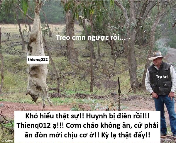 Hổ Đến Chơi Nhà (Puchimasu Miếu) Chương 148 Ảnh 40