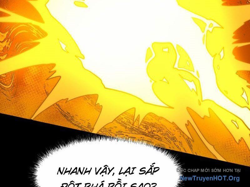 Sau Khi Chia Tay Hoa Khôi, Võ Đạo Của Ta Thẳng Tới Cấp Thần Chương 4 Ảnh 14