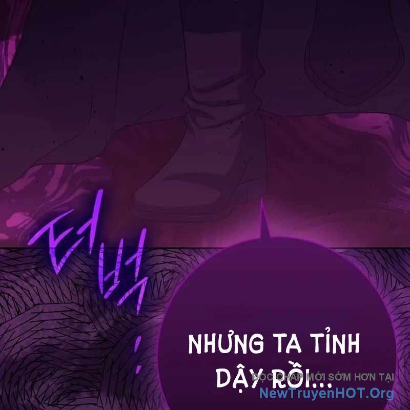 Sát Thủ Tái Sinh Thành Một Kiếm Sĩ Thiên Tài Chương 71 Ảnh 195
