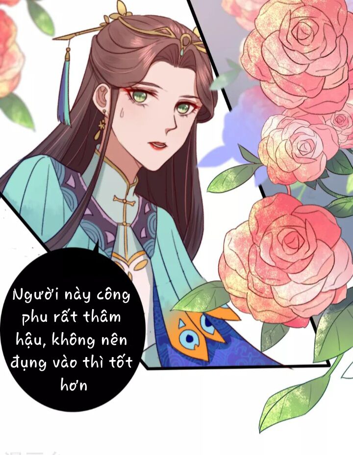 Hành Trình Huy Hoàng Chương 11 Ảnh 12