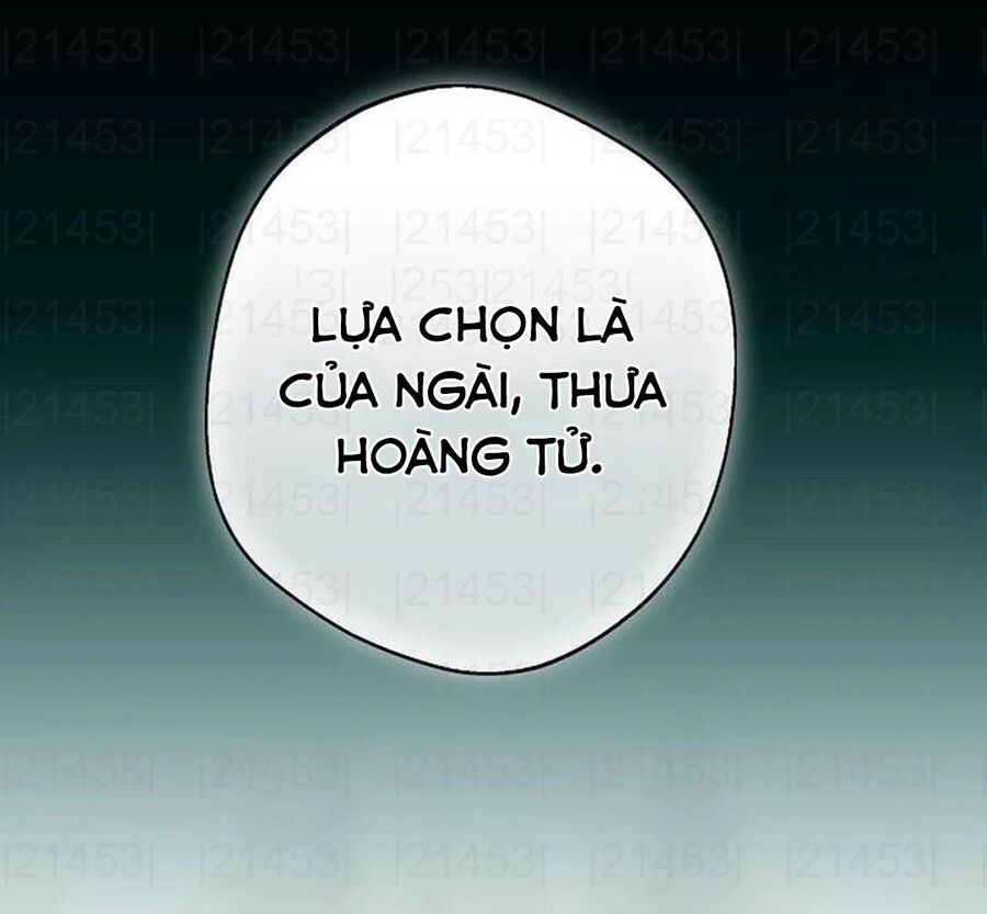 Bị Che Khuất Bởi Mặt Trời Lặn Chương 207 Ảnh 60