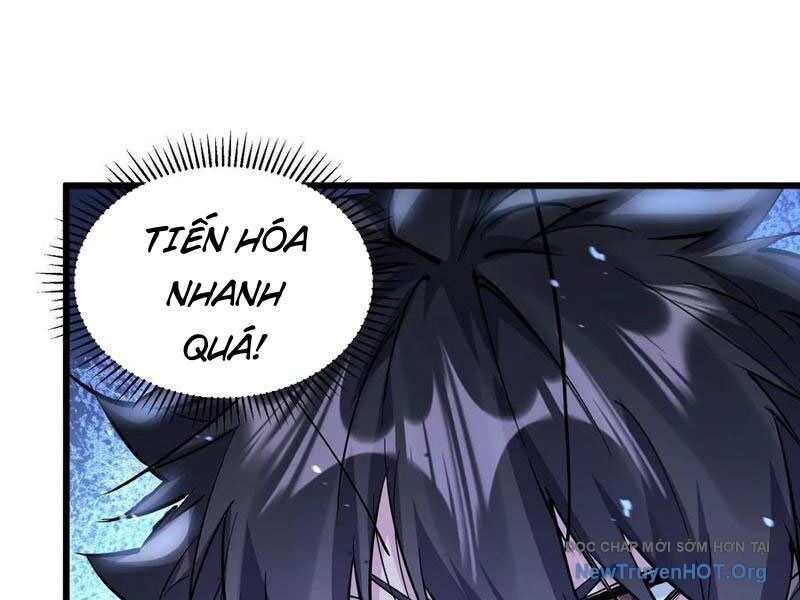 Mạt Thế Cẩu Sinh: Gián Giúp Ta Chồng Buff Chương 55 Ảnh 82