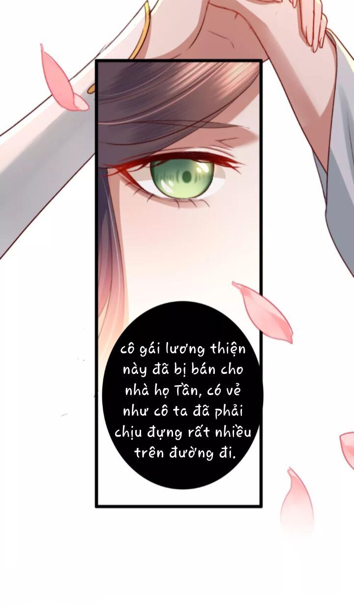 Hành Trình Huy Hoàng Chương 10 Ảnh 7