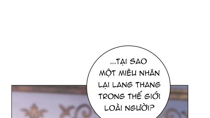 Ma Pháp Quân Chủ Chương 13 Ảnh 119