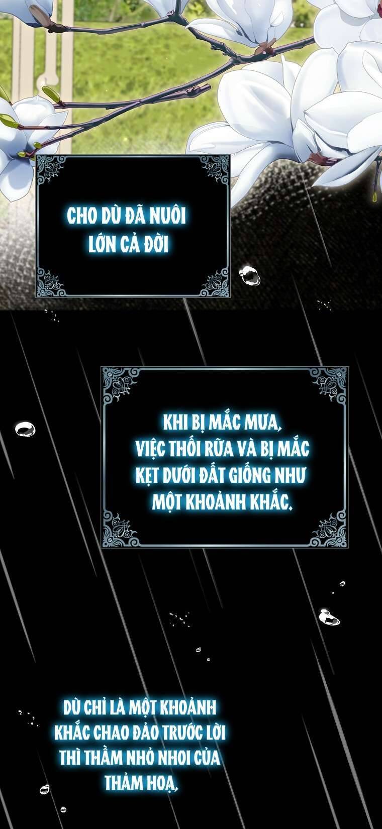 Vị Hôn Phu Phản Diện Cản Trở Con Đường Hoa Của Tôi Chương 70 Ảnh 57