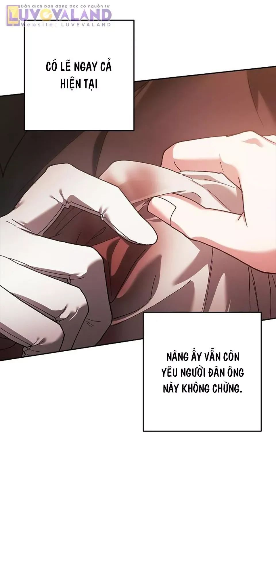 Cuộc Hôn Nhân Này Dù Sao Cũng Sẽ Tan Vỡ Mà Thôi Chương 101 Ảnh 32