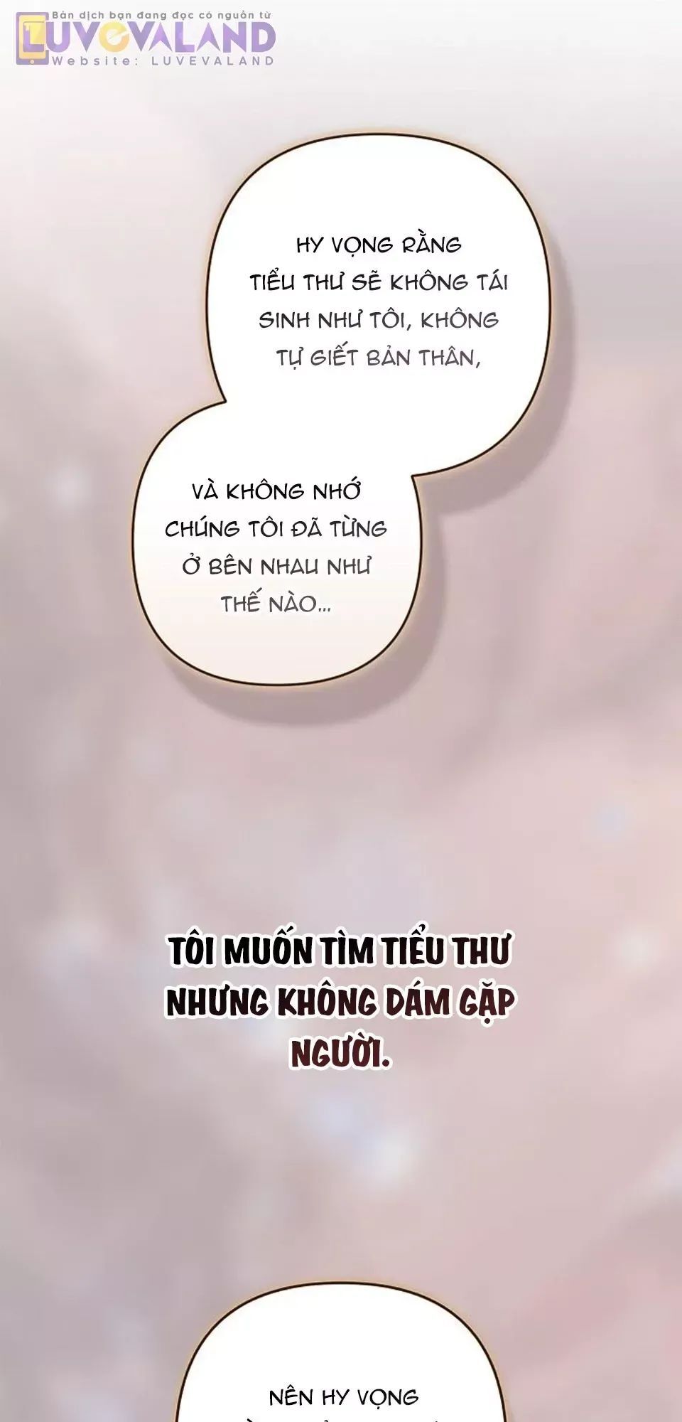 Cuộc Hôn Nhân Này Dù Sao Cũng Sẽ Tan Vỡ Mà Thôi Chương 102 Ảnh 86
