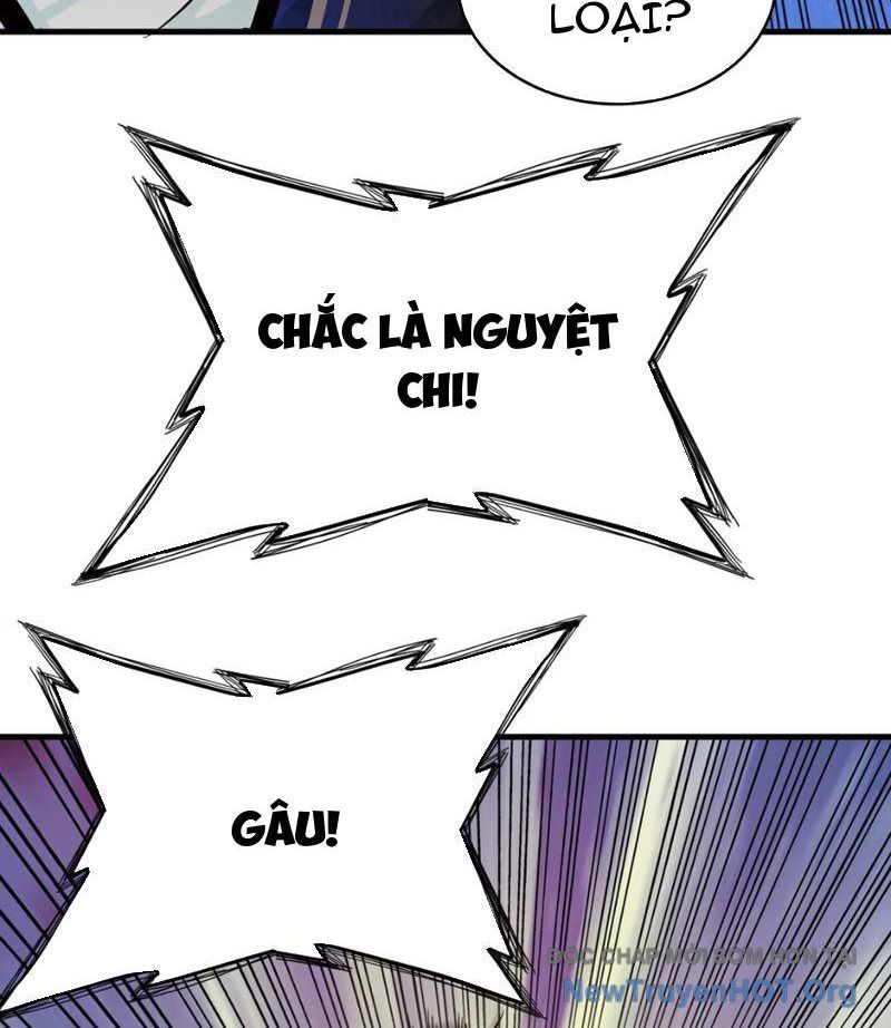 Xuyên Không Thành Ma Tôn Pháo Hôi? Nhưng Ta Là Streamer Công Lược Chương 4 Ảnh 15