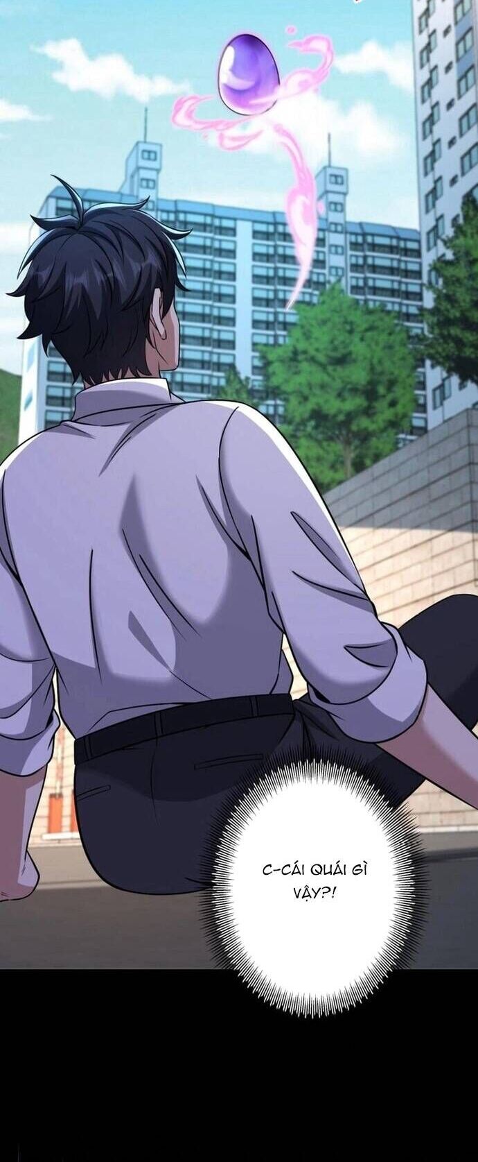 Sự Trỗi Dậy Của Tinh Linh Sư Hạng Bét Chương 1 Ảnh 42