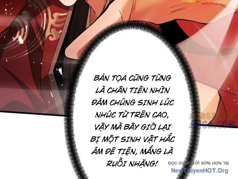 Gặp Mạnh Thì Càng Mạnh, Tu Vi Của Ta Không Giới Hạn Chương 65 Ảnh 128