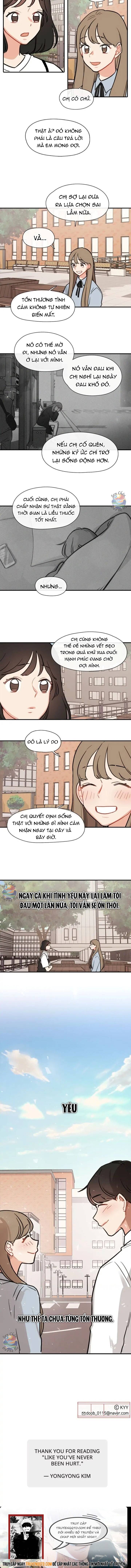 Như Thể Ta Chưa Từng Tổn Thương Chương 50 Ảnh 6