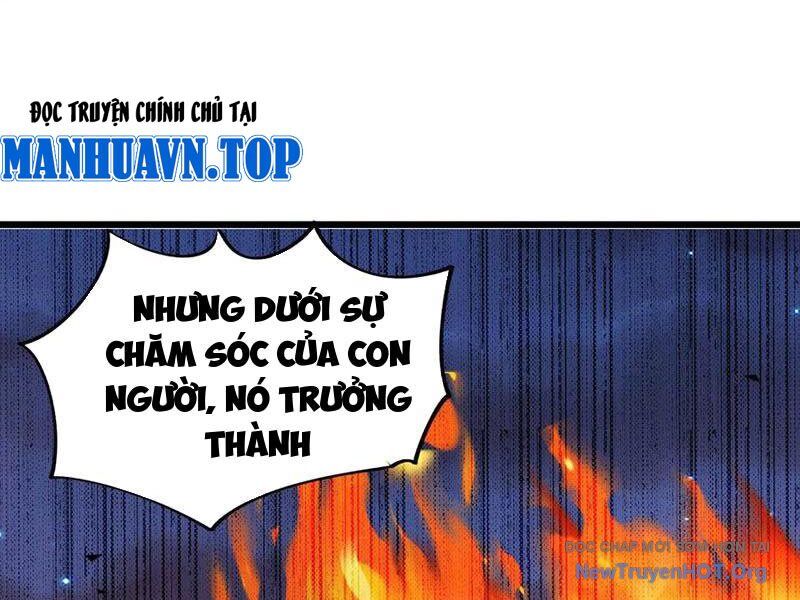 Mạt Thế Cẩu Sinh: Gián Giúp Ta Chồng Buff Chương 60 Ảnh 37