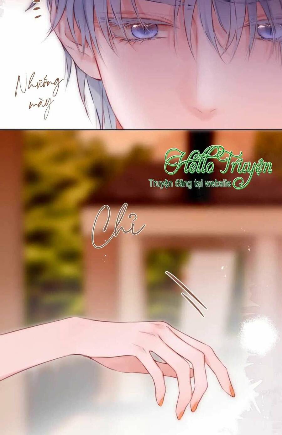 Cạm Bẫy Của Hồ Ly Chương 63 Ảnh 18