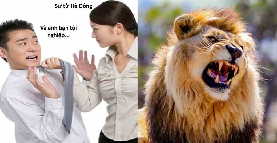 Hổ Đến Chơi Nhà Chương 152 Ảnh 10