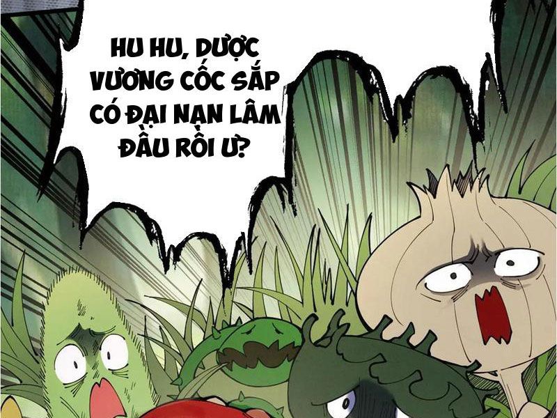 Gặp Mạnh Thì Mạnh, Ta Tu Vi Vô Thượng Hạn Chương 47 Ảnh 175