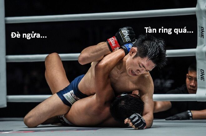 Hổ Đến Chơi Nhà (Puchimasu Miếu) Chương 152 Ảnh 8