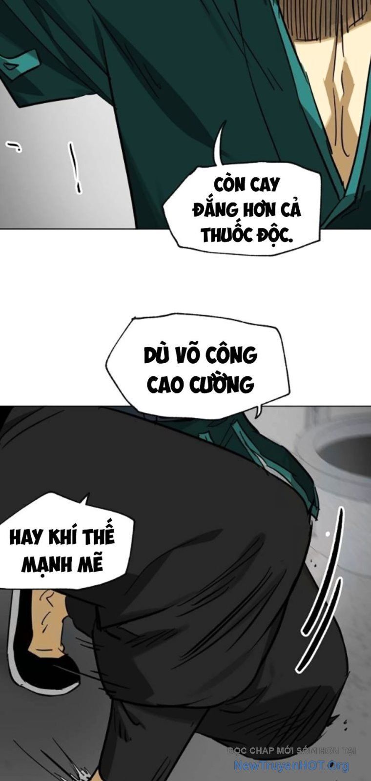 Thăng Cấp Vô Hạn Trong Murim Chương 240 Ảnh 28