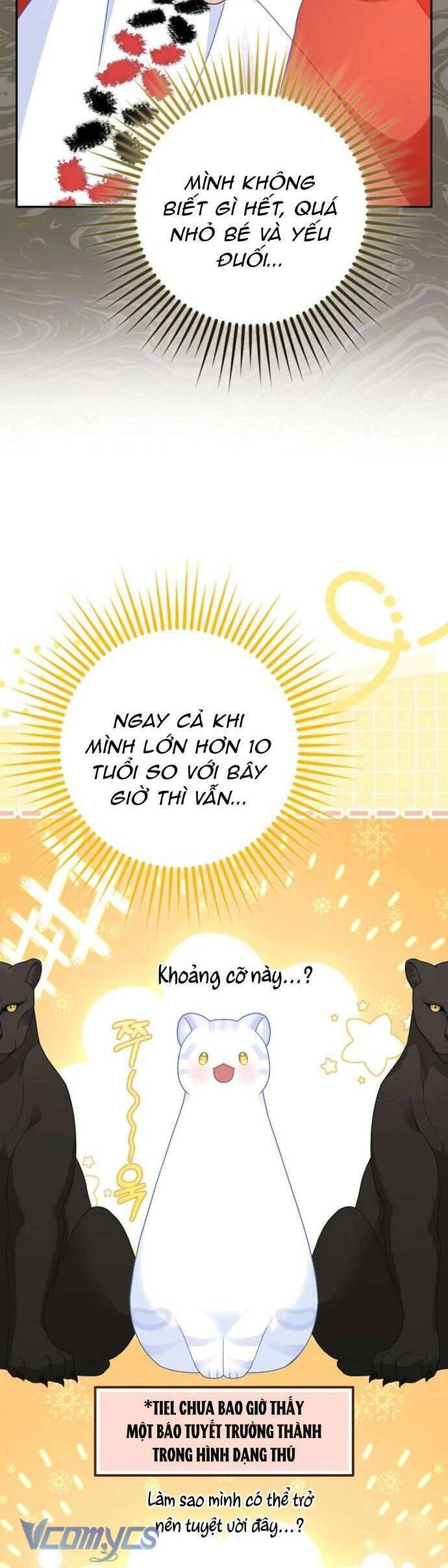 Bé Con Báo Tuyết Của Gia Tộc Báo Đen Chương 44 Ảnh 13