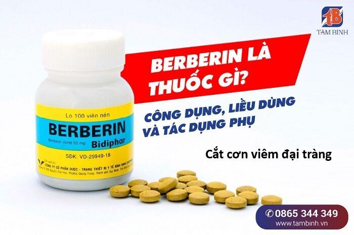 Hổ Đến Chơi Nhà Chương 153 Ảnh 11