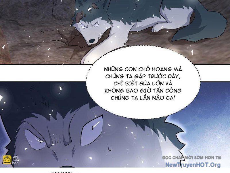 Trọng Sinh Thành Chó Của Nữ Thần Chương 414 Ảnh 19