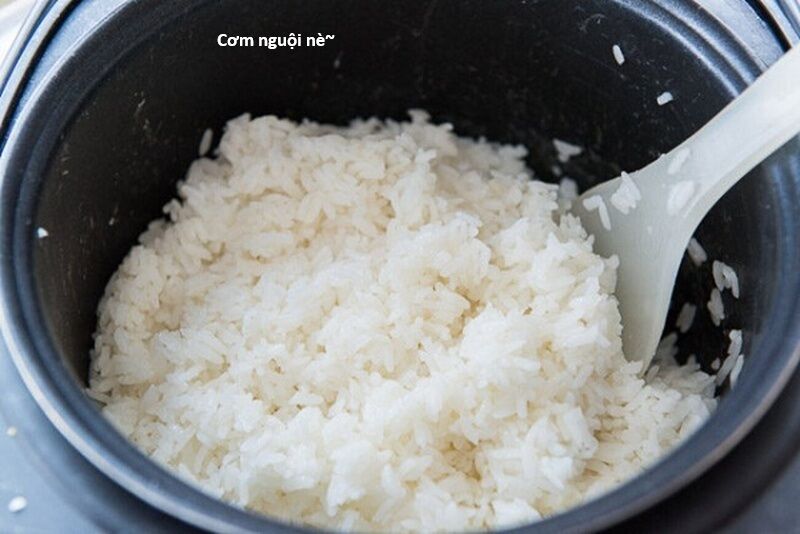 Hổ Đến Chơi Nhà (Puchimasu Miếu) Chương 153 Ảnh 7