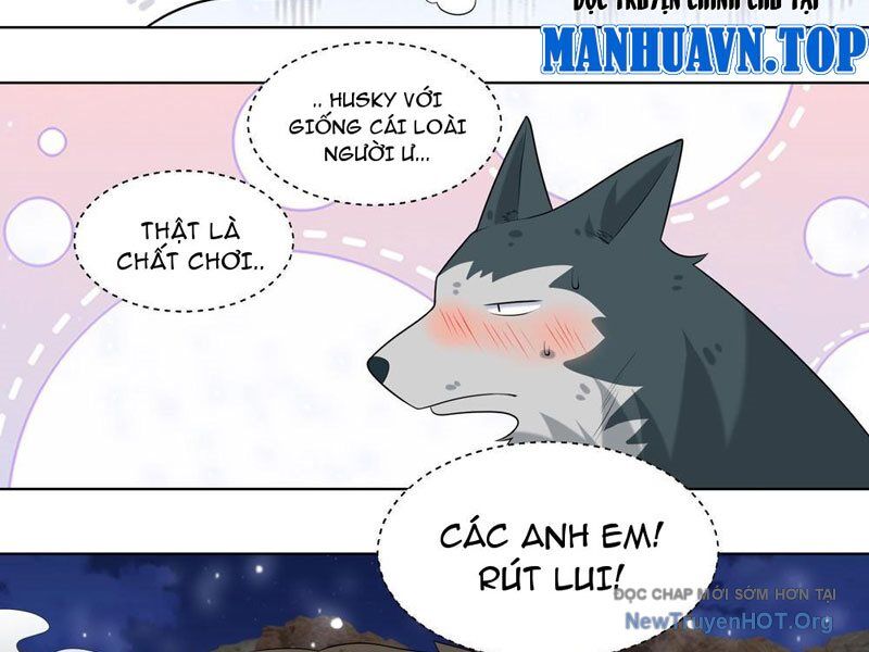 Trọng Sinh Thành Chó Của Nữ Thần Chương 415 Ảnh 13