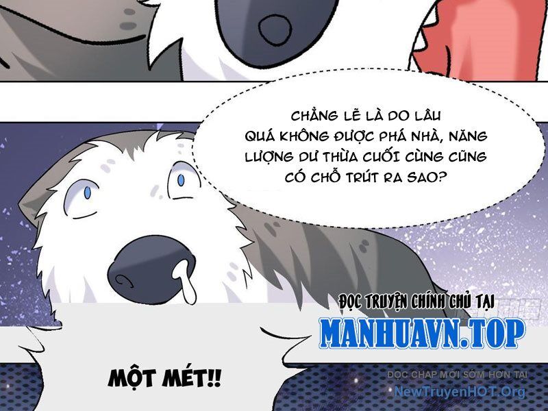 Trọng Sinh Thành Chó Của Nữ Thần Chương 411 Ảnh 23