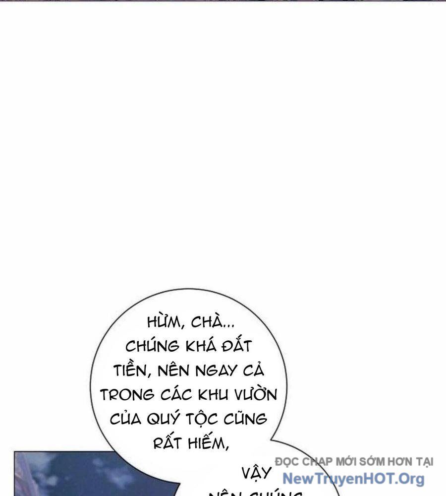 Ma Pháp Quân Chủ Chương 18 Ảnh 54