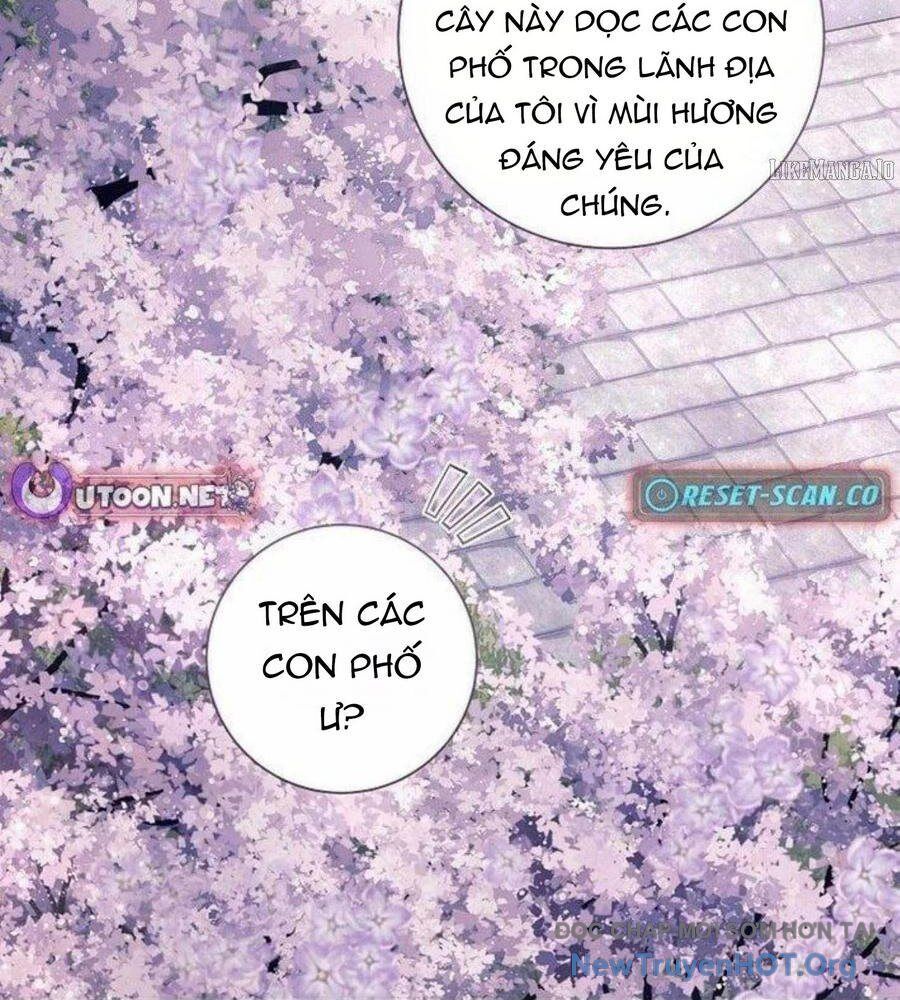 Ma Pháp Quân Chủ Chương 18 Ảnh 53