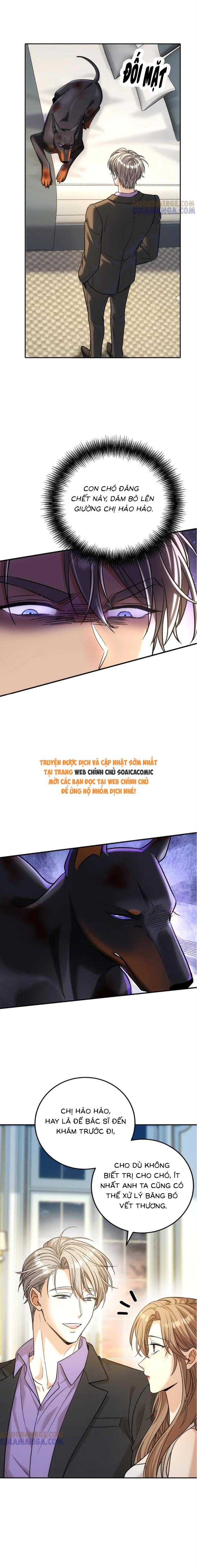 Tổng Tài Chó Chương 43 Ảnh 12