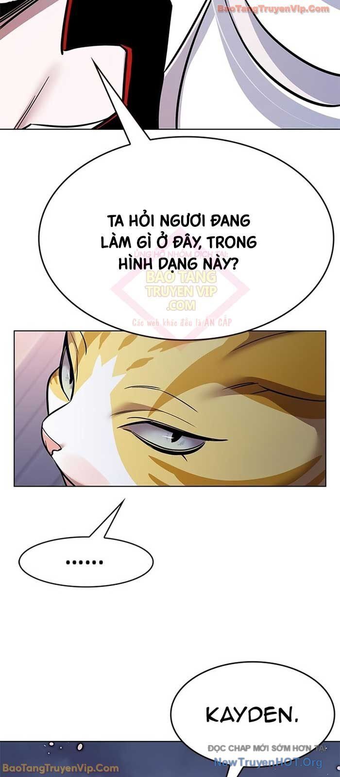 Biến Thân Thành Mèo Chương 364 Ảnh 47