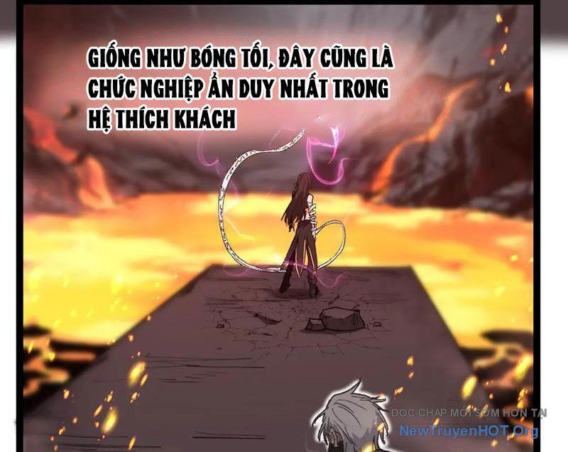 Thích Khách Thần Cấp, Ta Chính Là Bóng Đêm Chương 48 Ảnh 11